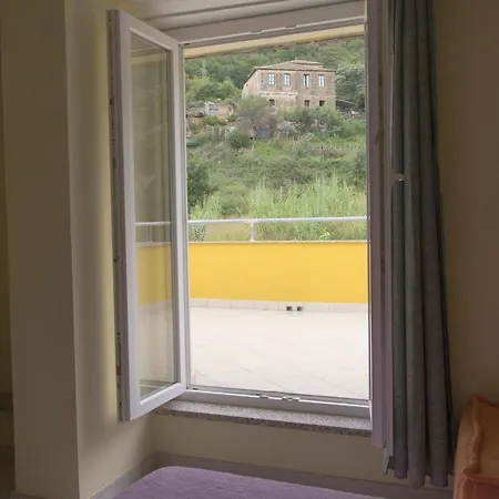 Stella d'Oro-3
