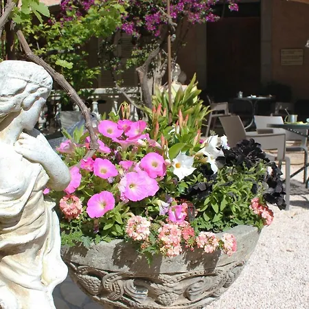 Hotel Les Palmiers-2