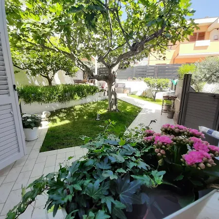 B&B Sirolo My House-2