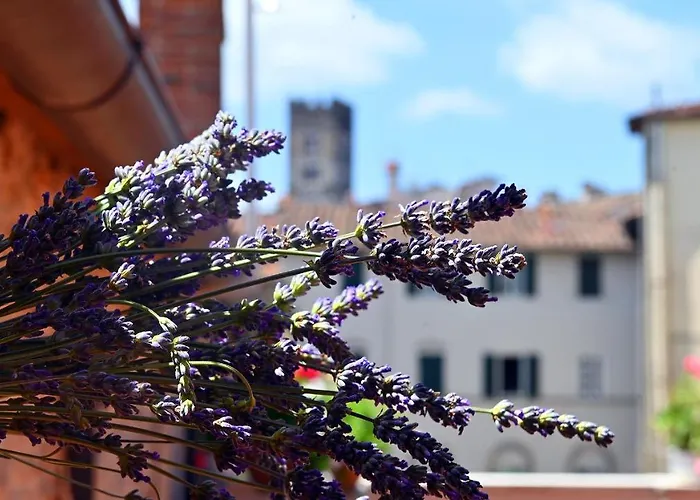 L'Iris B&B in Terrazza Lucca