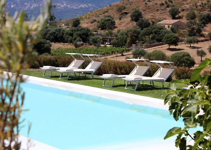 Bed and Breakfast Albero Capovolto Golfo Aranci