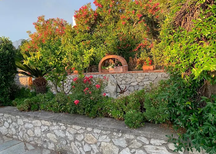 Il Merlo Anacapri 