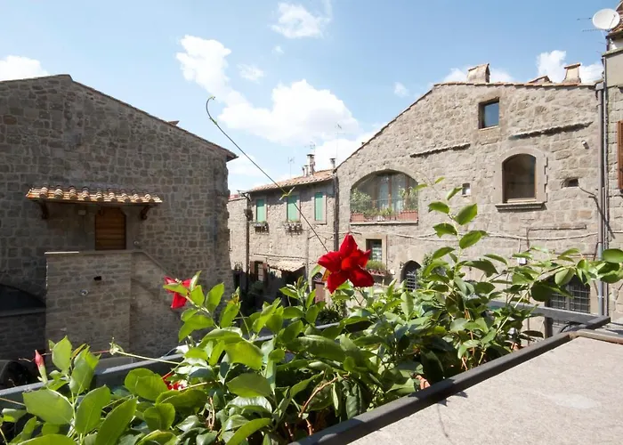 Il Gallo Nero Viterbo