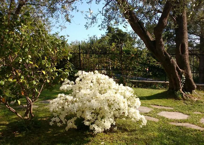 Bed and Breakfast La Vie Est Belle Finale Ligure
