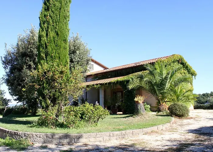 Bed and Breakfast Vecchio Olmo Viterbo