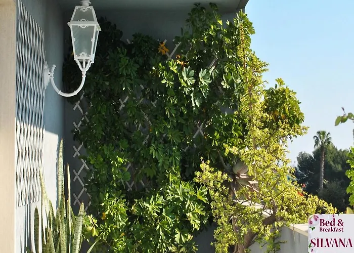 Bed And Breakfast Silvana Taranto