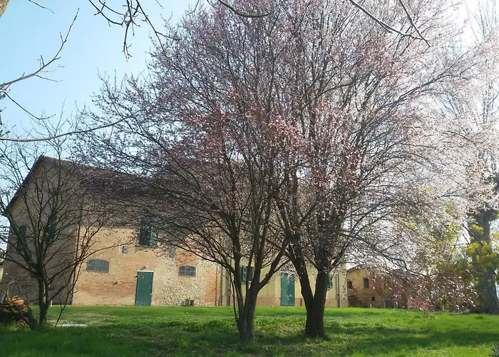 Bed and Breakfast Il Boschetto di Morgana Castel San Pietro Terme