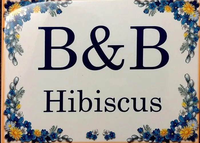 B&B Hibiscus Porto SantʼElpidio