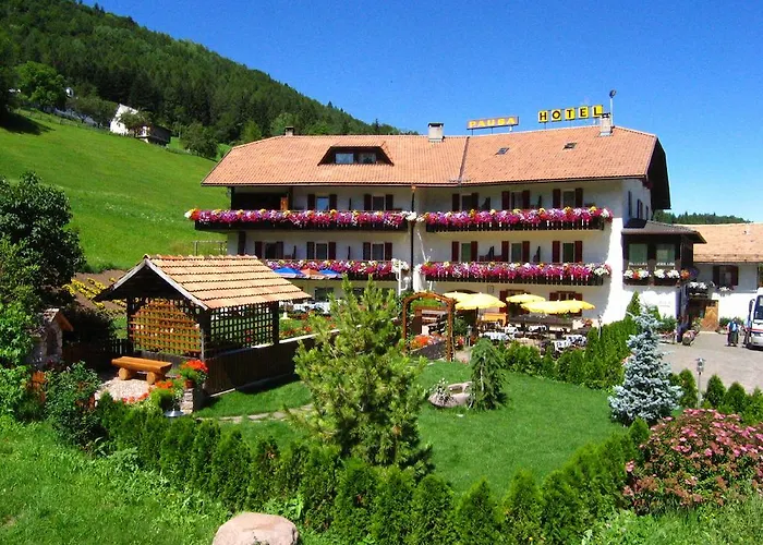 Hotel Pausa Montagna 
