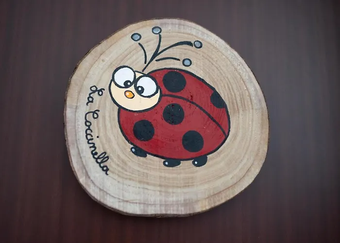 Hotel La nuova Coccinella Bra