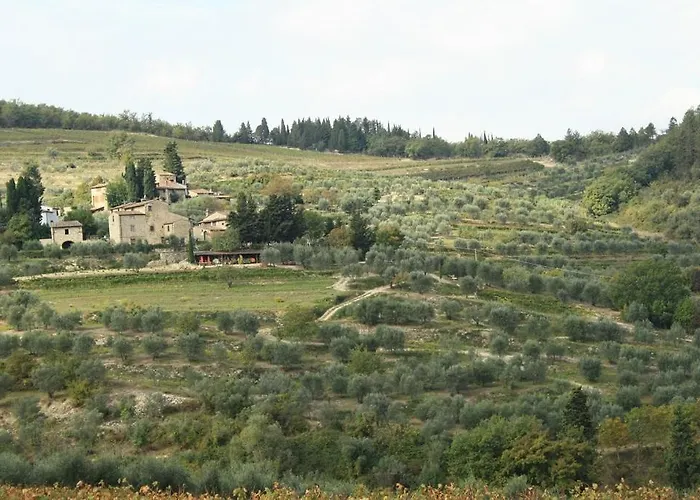 Agriturismo Podere Somigli di Lorenzo Correani Greve in Chianti