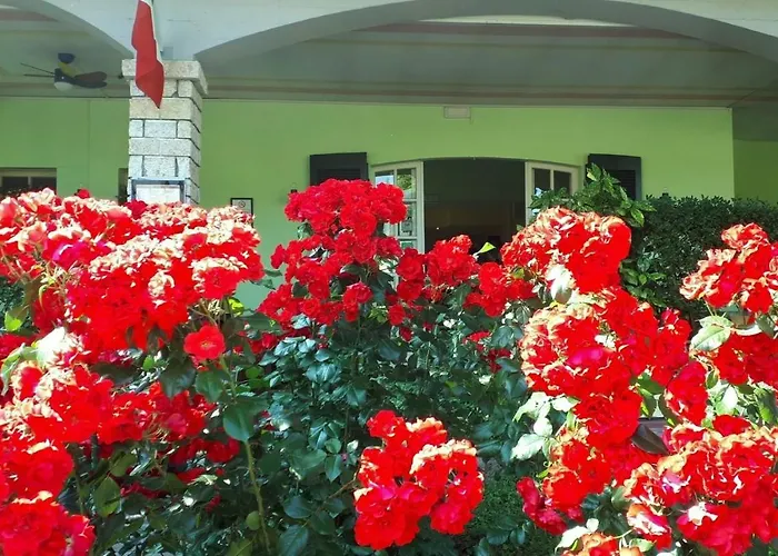 Albergo La Quiete Desenzano del Garda