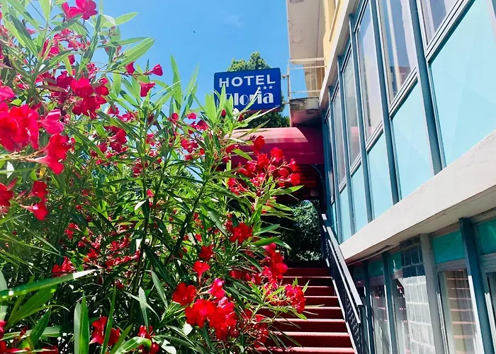 Hotel Gloria Salsomaggiore Terme