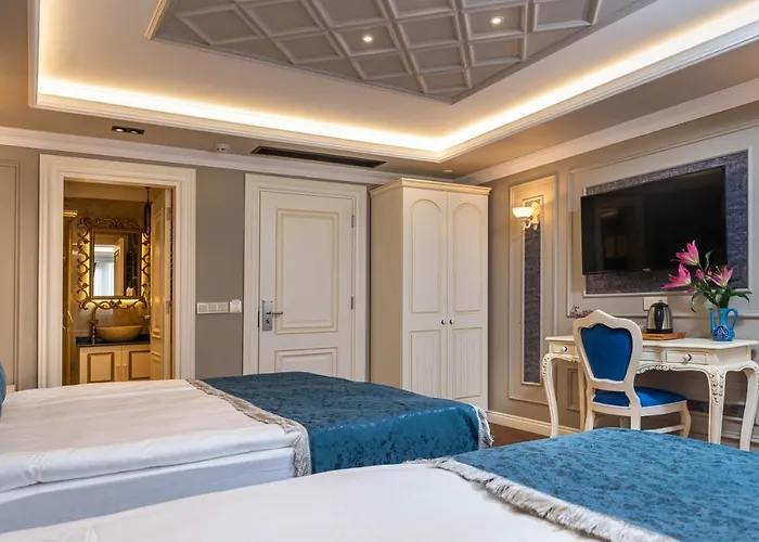 Begonville Mansion Oldcity Provincia di Provincia di Istanbul