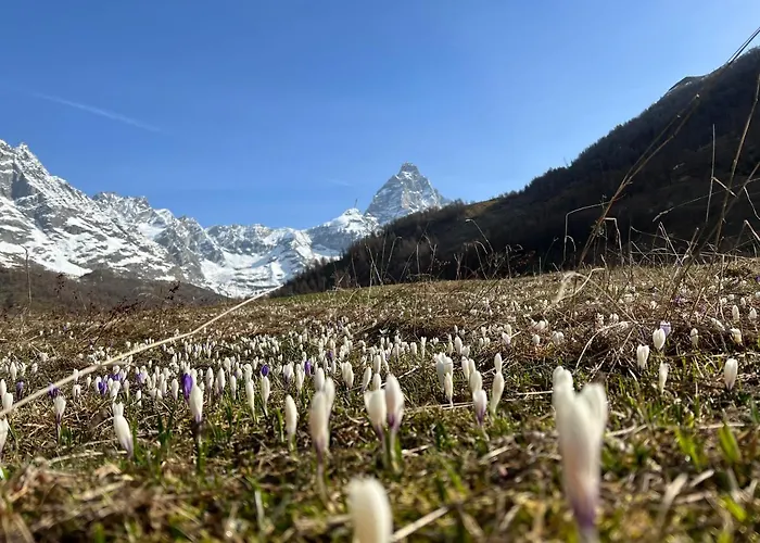 Hotel La Luge Valtournenche