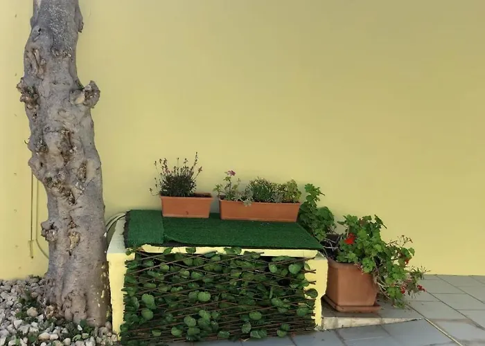 Bed and Breakfast La Piccola Mole Peschici