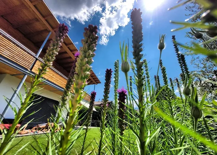 Bed and Breakfast Casa De Fiemme Tesero