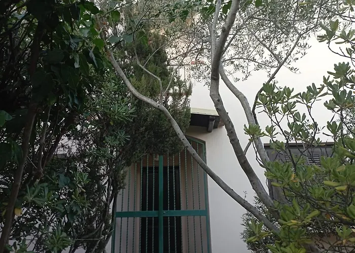 Bed and Breakfast Domus Garden Olbia