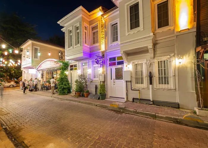 Begonville Mansion Oldcity Provincia di Provincia di Istanbul