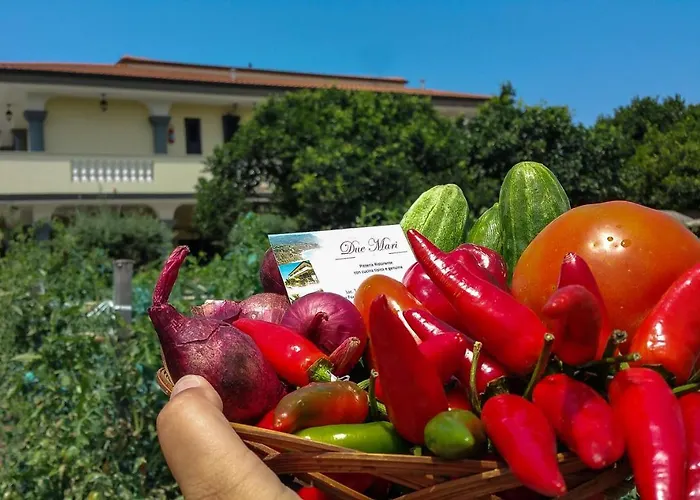 Residenceduemari Capo Vaticano