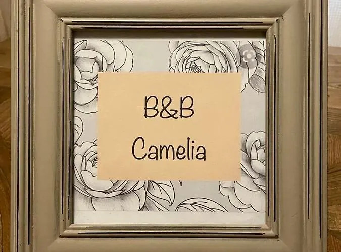 B&B Camelia Città di Castello