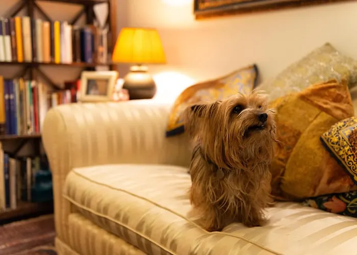 B&B La Scalinatella Roma