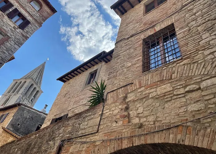 Numero 6 Todi