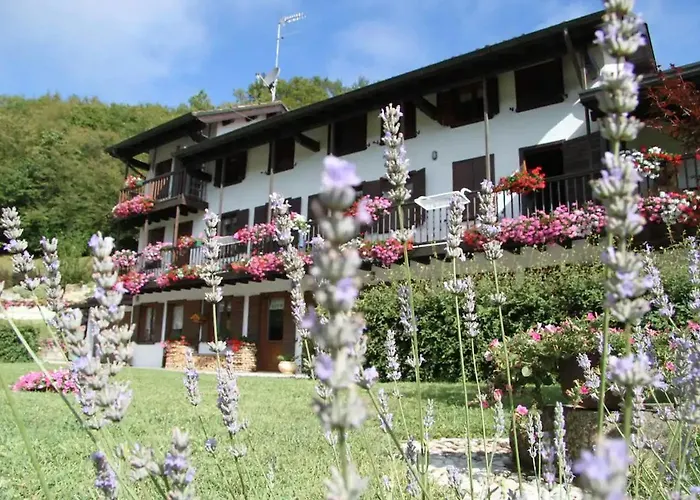 The Duck'S Cottage Feltre