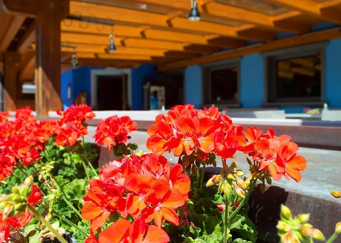 Hotel Al Mughetto Auronzo di Cadore