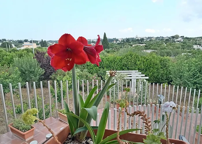 Bed and Breakfast Casa Mastronardi Castellana Grotte