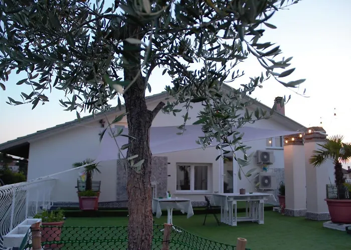 Terrazza Zalamella Bed&Breakfast Ravenna