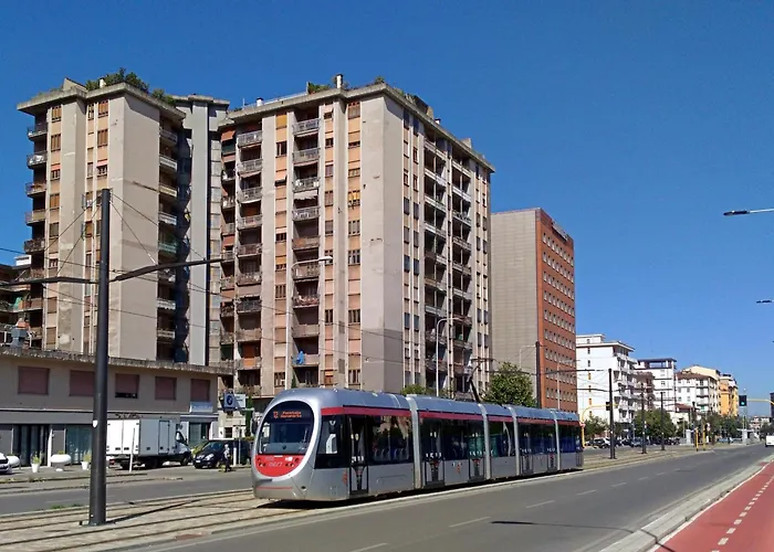 Stradivarious Firenze
