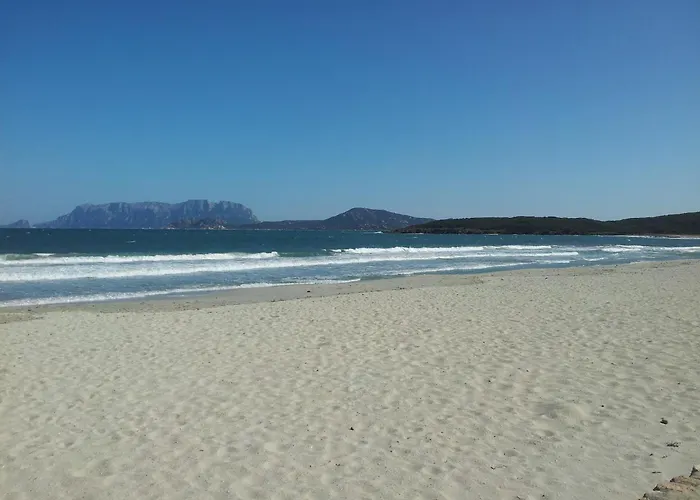 Domo Janas Affittacamere Guesthouse Olbia