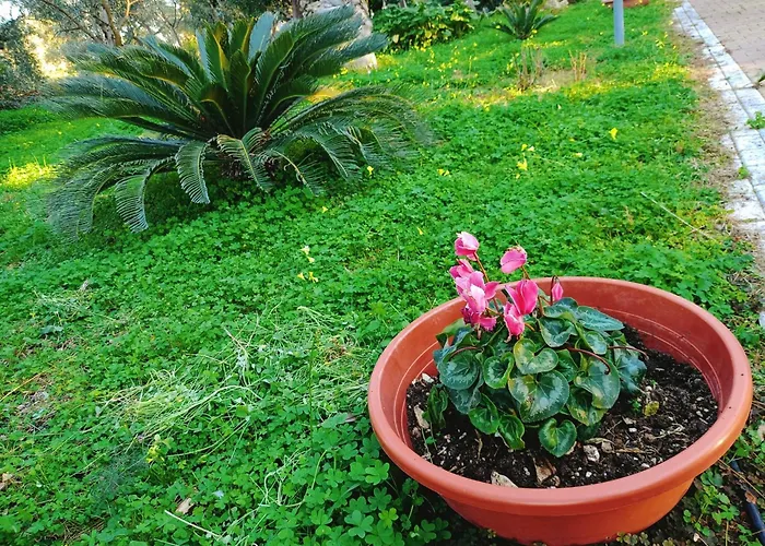 B&B Verdeoliva Modugno
