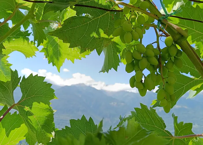 Bed and Breakfast Palazzo Juvalta Teglio