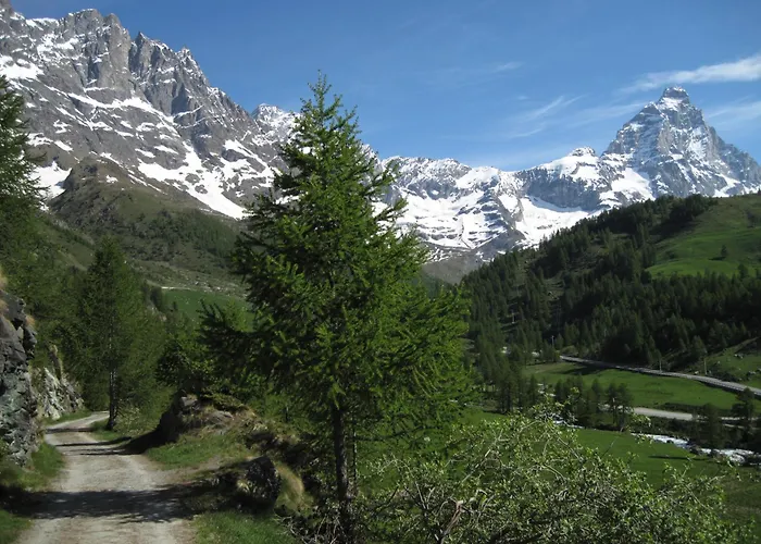 Hotel Meublè Meridiana Valtournenche