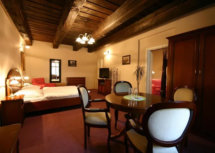 Hotel U Tri Bubnu Praga