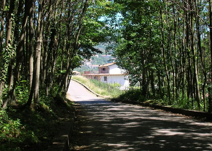Bed and Breakfast Casa Pendola Agerola