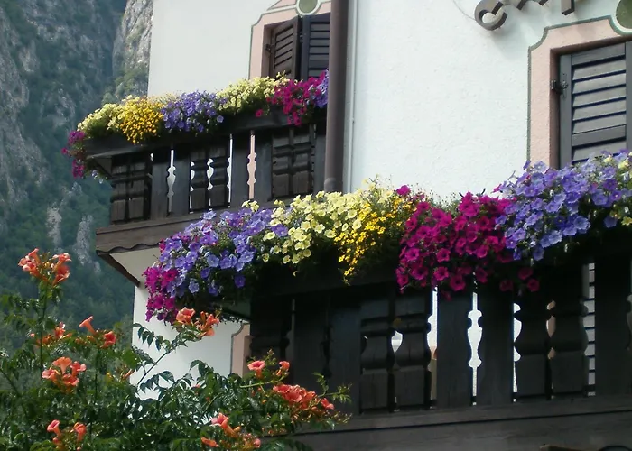 Hotel Stella Alpina Fai Della Paganella