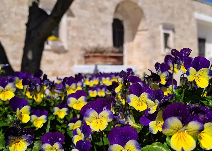 Aparthotel Il Sogno Alberobello