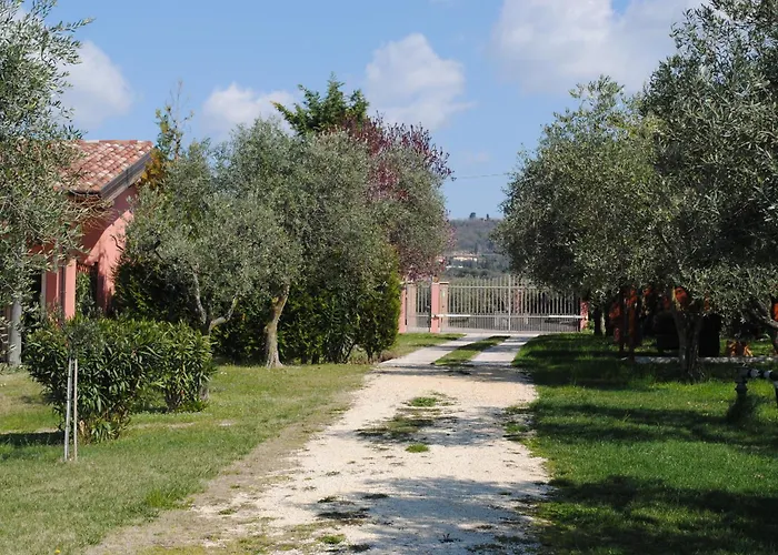 Agriturismo Melograno D'Oro Bardolino