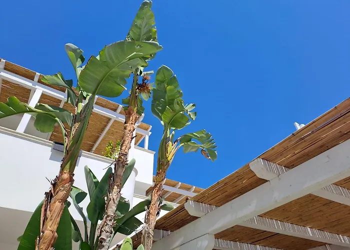 Casa Flora - Bed And Breakfast Torre San Giovanni Ugento