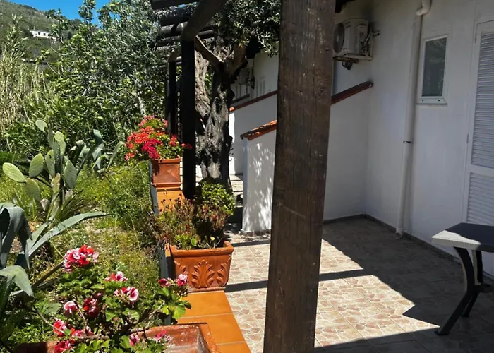 Hotel Punto Azzurro Forio di Ischia