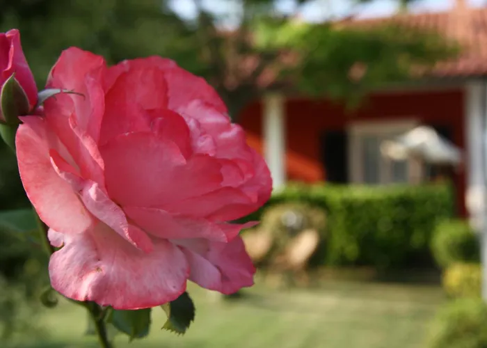 B&B Doremi Osimo