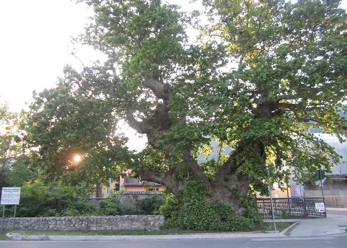 Albergo Al Platano Caprino Veronese