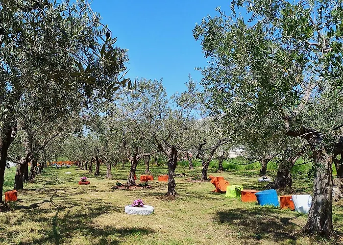 Bed and Breakfast Colline del sole San Salvo