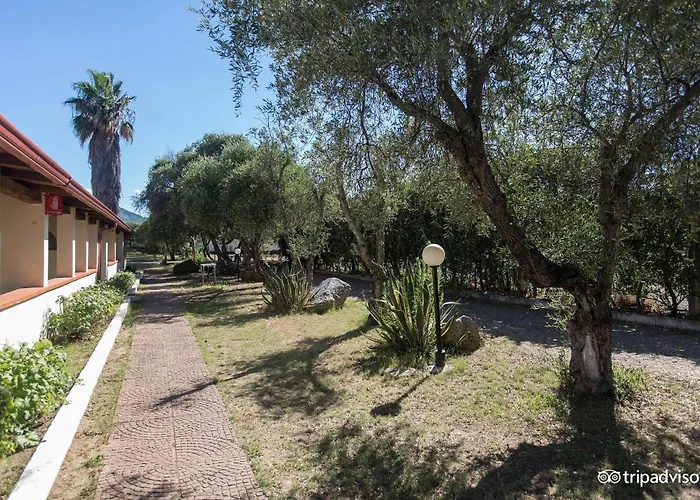 VMhotel Napeto Dog Village Pizzo 
