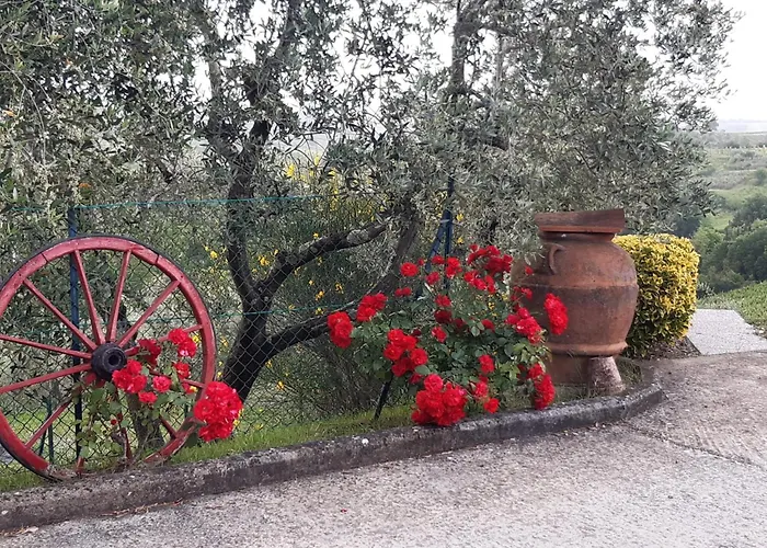 B&B I Coppi San Gimignano