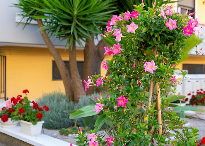 Bed&Breakfast Marlè Agropoli