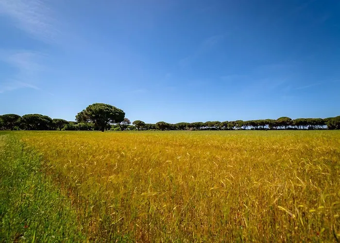Agriturismo Bio Femminella Principina a Mare